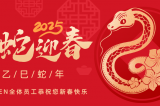 辭舊迎新，蛇舞華章丨深圳容金科技全體員工祝您新春快樂！