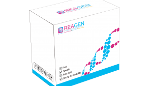 馬、驢源性恒溫核酸檢測試劑盒